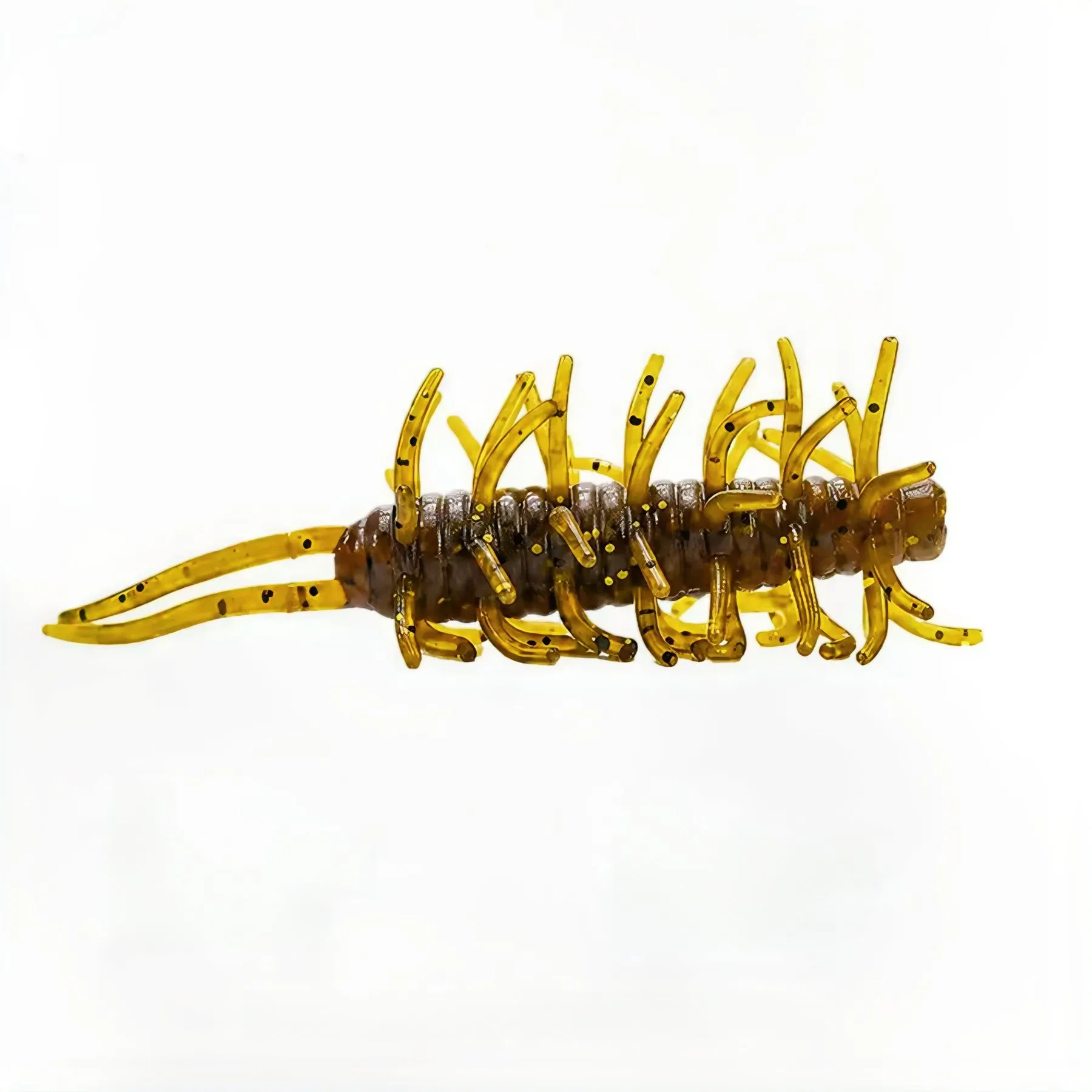 Rich In Sea Cucumber variant 2