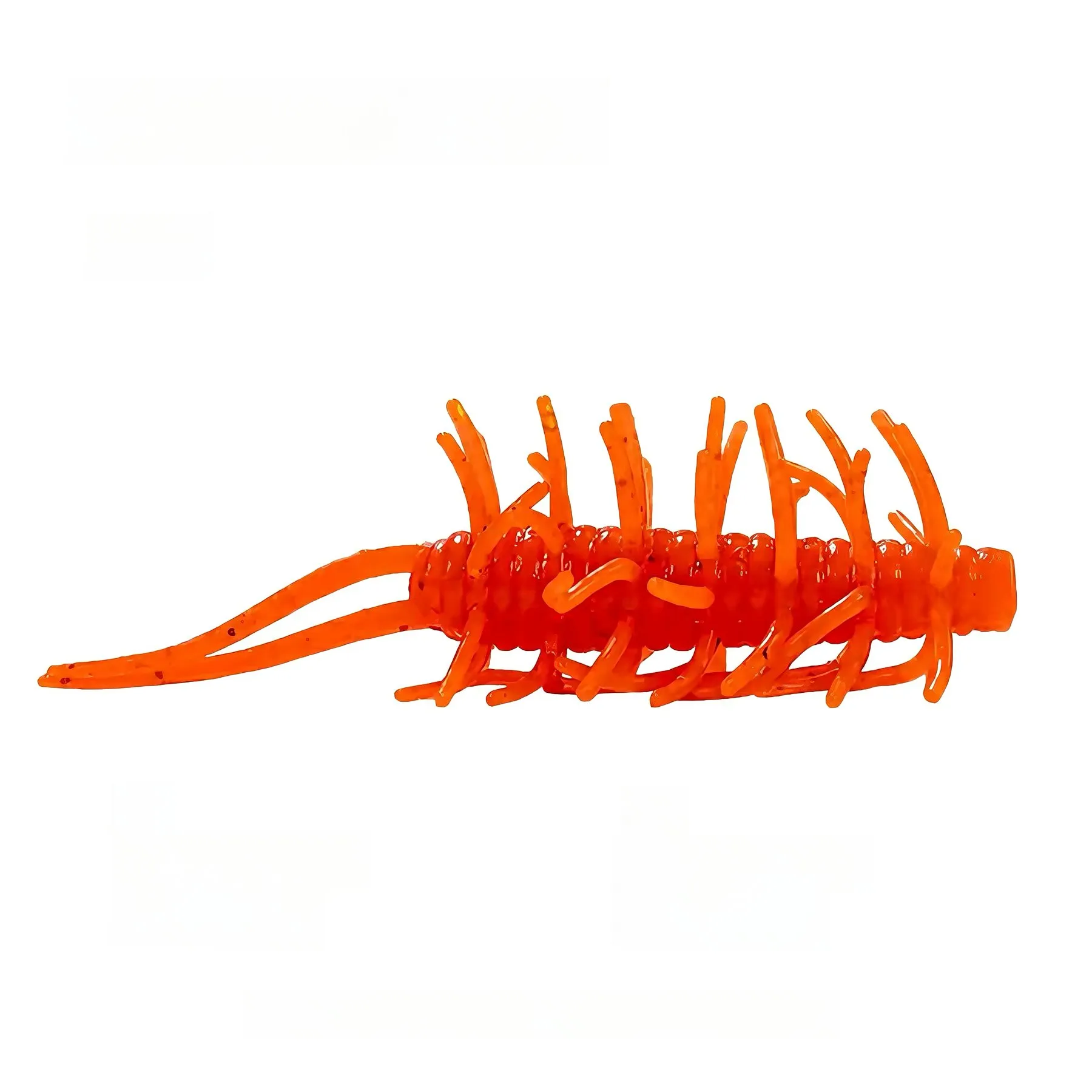 Rich In Sea Cucumber variant 4