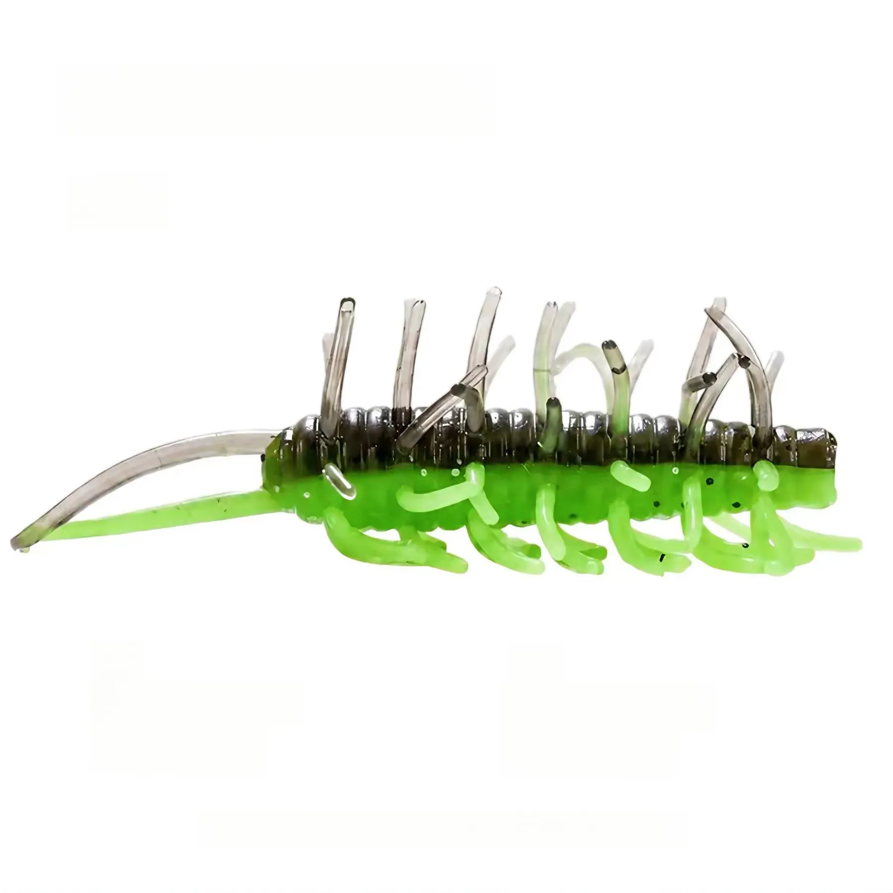 Rich In Sea Cucumber variant 5